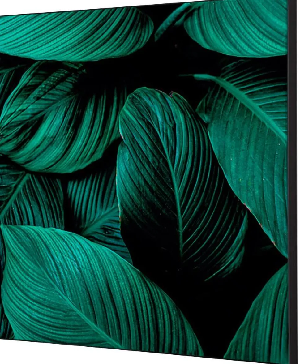 SHOWDOWN Botanical Leaves Textielen Wanddecoratie Multikleur Aluminium