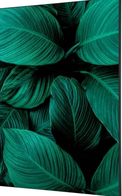 SHOWDOWN Botanical Leaves Textielen Wanddecoratie Multikleur Aluminium