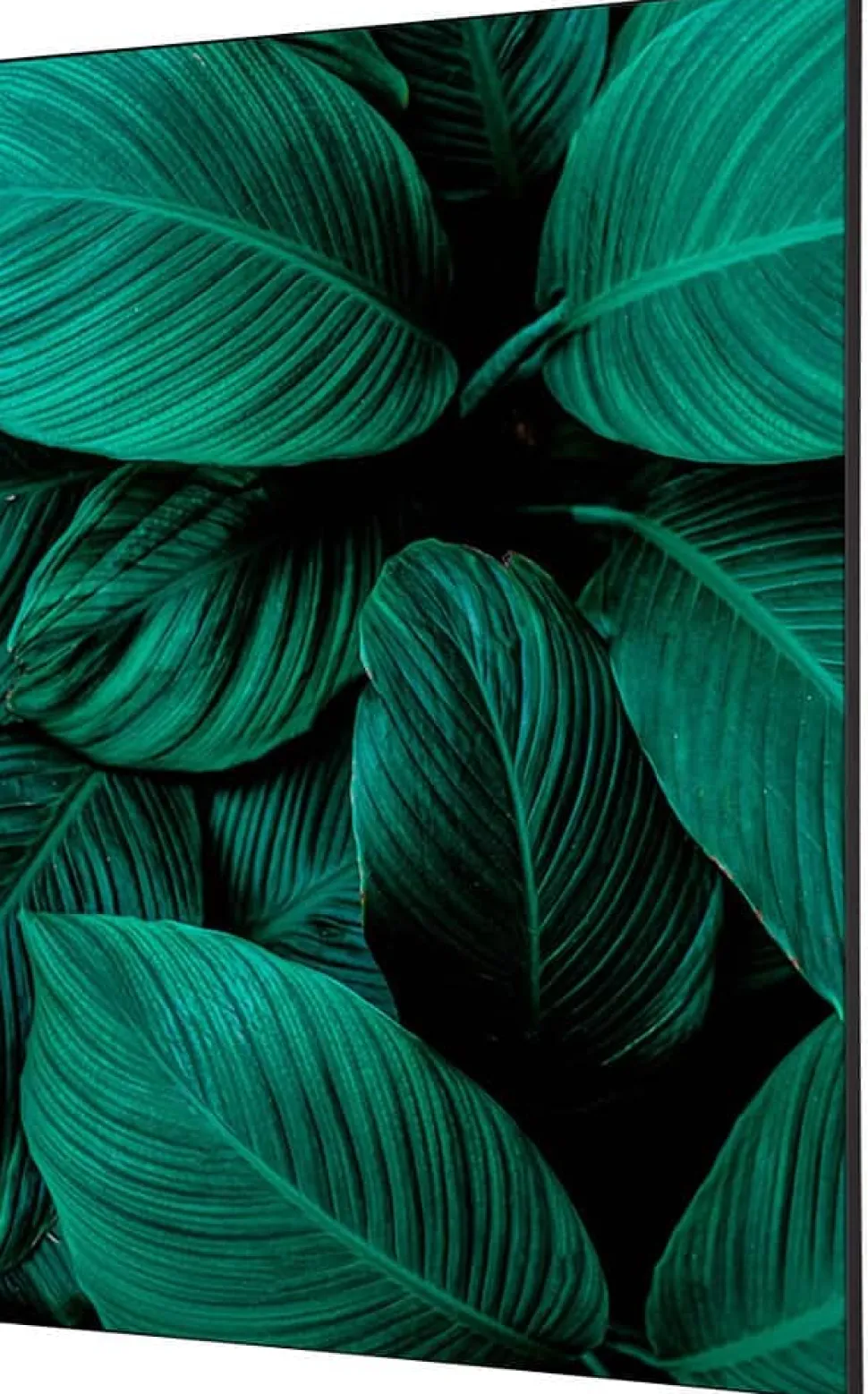 SHOWDOWN Botanical Leaves Textielen Wanddecoratie Multikleur Aluminium
