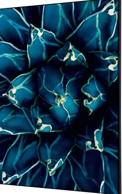 SHOWDOWN Cactus Textielen Wanddecoratie Multikleur Aluminium
