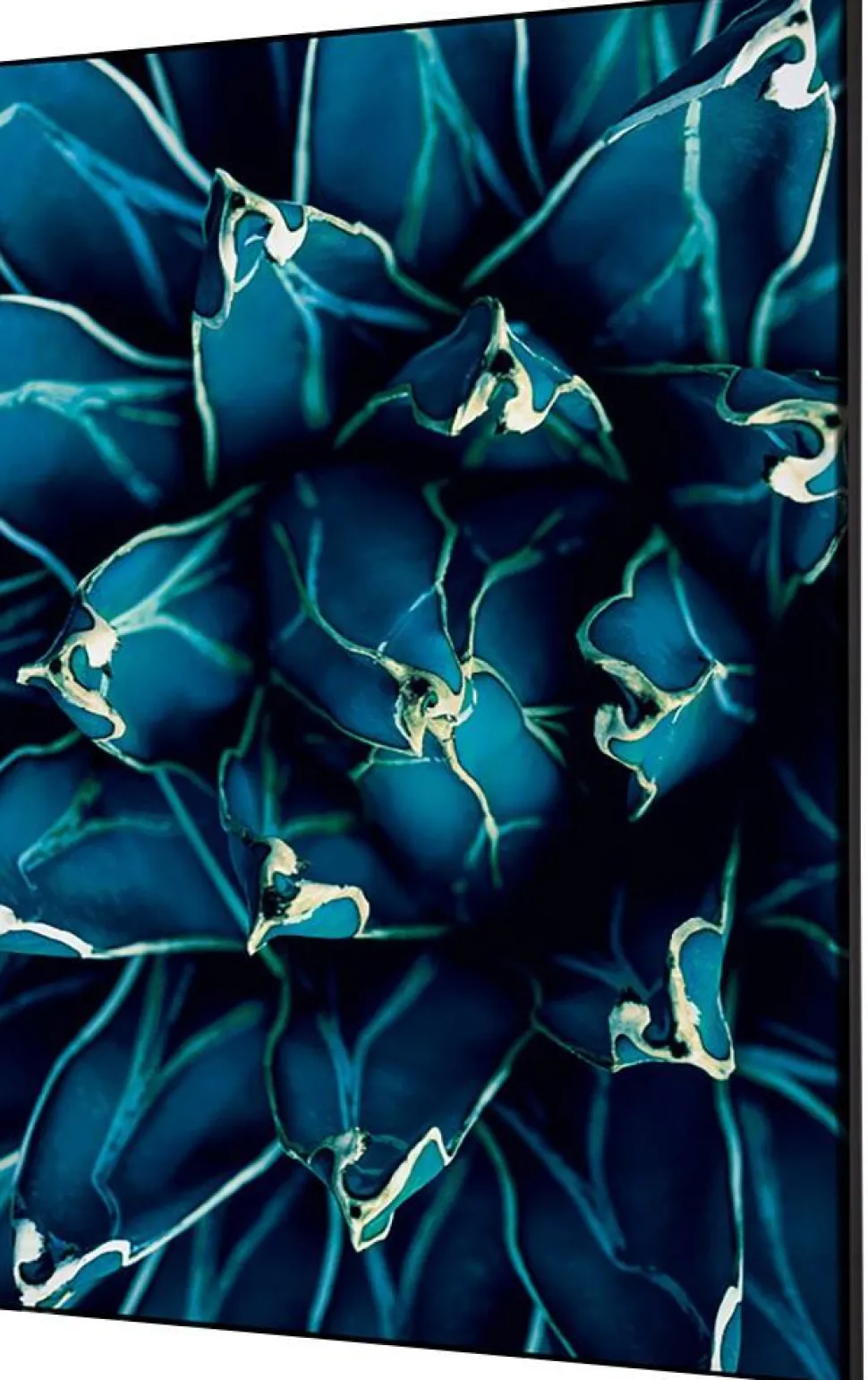 SHOWDOWN Cactus Textielen Wanddecoratie Multikleur Aluminium