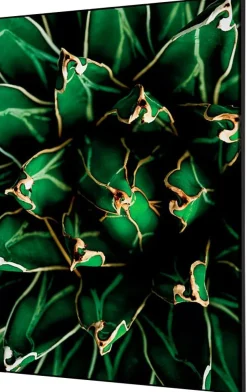 SHOWDOWN Cactus Textielen Wanddecoratie Multikleur Aluminium