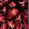 SHOWDOWN Cactus Textielen Wanddecoratie Multikleur Aluminium