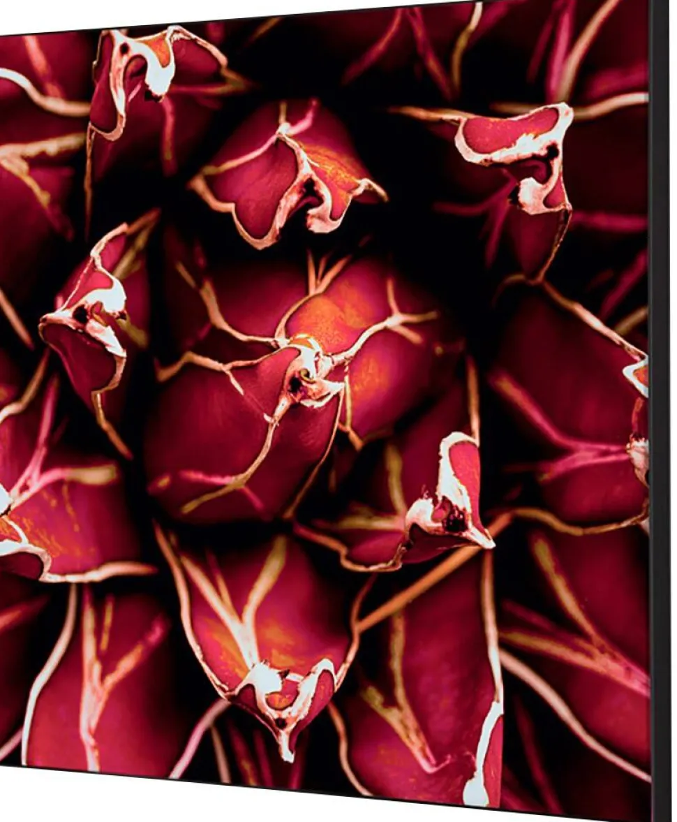 SHOWDOWN Cactus Textielen Wanddecoratie Multikleur Aluminium