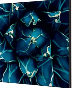 SHOWDOWN Cactus Textielen Wanddecoratie Multikleur Aluminium