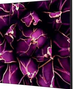 SHOWDOWN Cactus Textielen Wanddecoratie Multikleur Aluminium