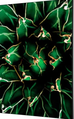SHOWDOWN Cactus Textielen Wanddecoratie Multikleur Aluminium