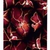 SHOWDOWN Deco Scheidingswand Aluminium Rood 1.020 x 450 x 2.020 mm