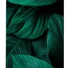 SHOWDOWN Deco Scheidingswand Aluminium Groen 870 x 450 x 2.020 mm