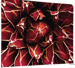 SHOWDOWN EU Scheidingswand Aluminium Rood 1.500 x 450 x 1.500 mm