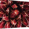 SHOWDOWN EU Scheidingswand Aluminium Rood 1.984 x 450 x 1.502 mm