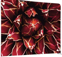 SHOWDOWN EU Scheidingswand Aluminium Rood 1.984 x 450 x 1.502 mm