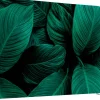 SHOWDOWN EU Scheidingswand Aluminium Groen 1.984 x 450 x 1.502 mm