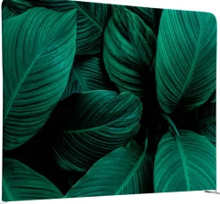 SHOWDOWN EU Scheidingswand Aluminium Groen 1,500 x 1,500 x 450 mm