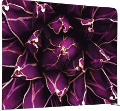 SHOWDOWN EU Scheidingswand Aluminium Paars 1.984 x 450 x 1.502 mm