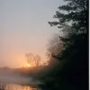 SHOWDOWN Forest Sunrise Textielen Wanddecoratie Multikleur Aluminium