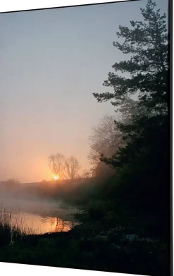 SHOWDOWN Forest Sunrise Textielen Wanddecoratie Multikleur Aluminium