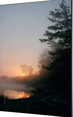 SHOWDOWN Forest Sunrise Textielen Wanddecoratie Multikleur Aluminium