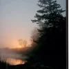 SHOWDOWN Forest Sunrise Textielen Wanddecoratie Multikleur Aluminium