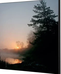 SHOWDOWN Forest Sunrise Textielen Wanddecoratie Multikleur Aluminium