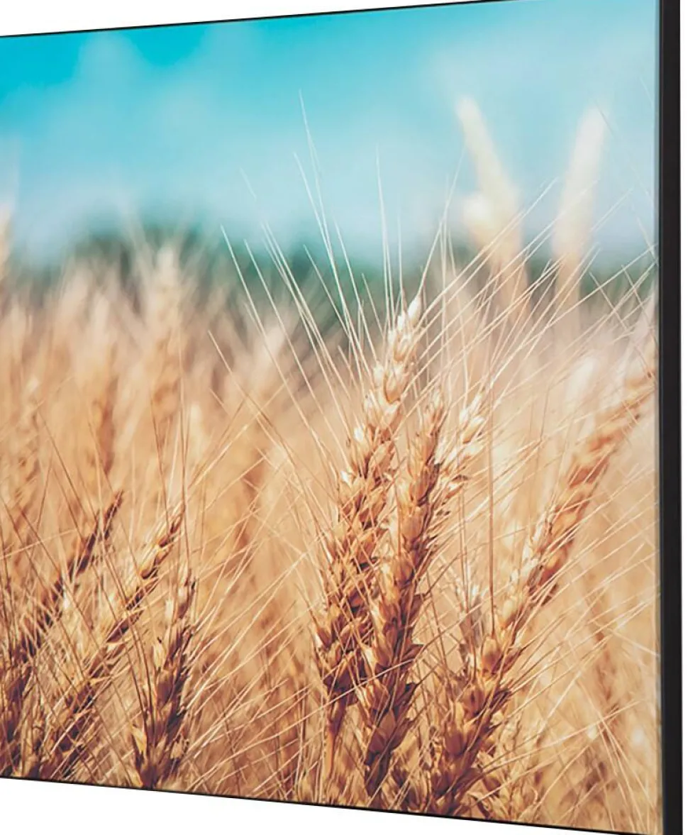 SHOWDOWN Grain Field Textielen Wanddecoratie Multikleur Aluminium