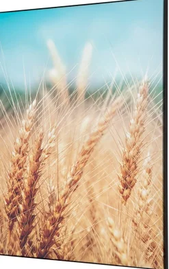 SHOWDOWN Grain Field Textielen Wanddecoratie Multikleur Aluminium