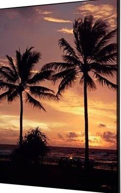 SHOWDOWN Palmtrees Sunset Textielen Wanddecoratie Multikleur Aluminium