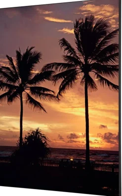 SHOWDOWN Palmtrees Sunset Textielen Wanddecoratie Multikleur Aluminium