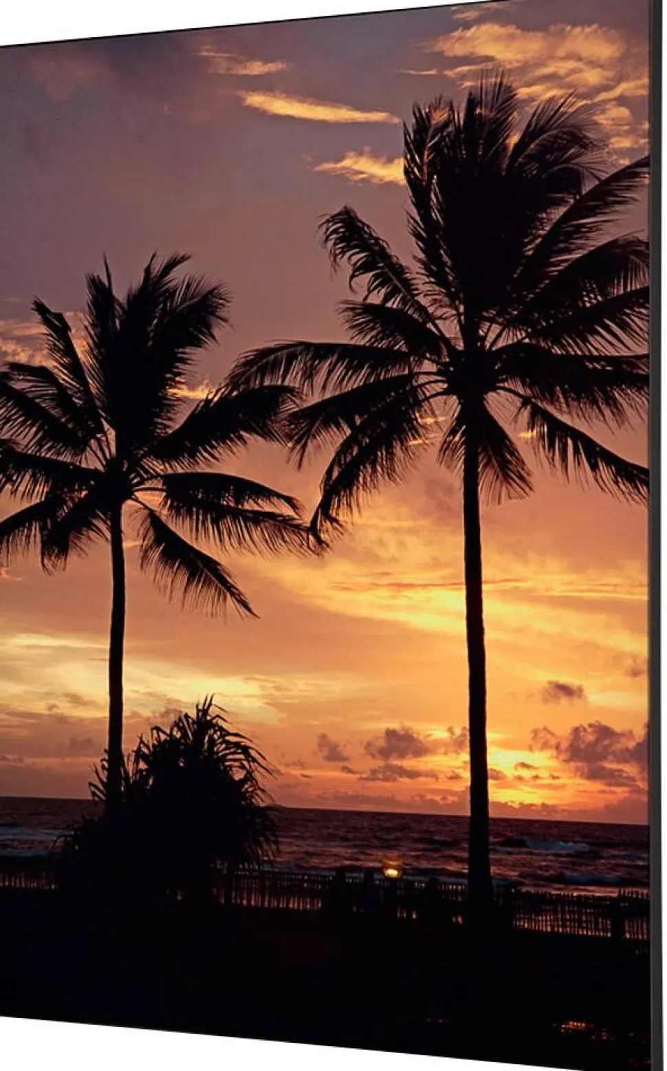 SHOWDOWN Palmtrees Sunset Textielen Wanddecoratie Multikleur Aluminium