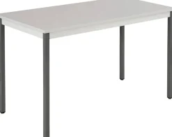 Sodematub Tafel Grijs Staal 1,200 x 600 x 740 mm