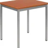 Sodematub Tafel Kersen Staal 700 x 600 x 740 mm