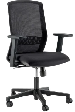 Tekna Ergonomische stoel Synchroonmechanisme Mesh 3D armleuning Zwart