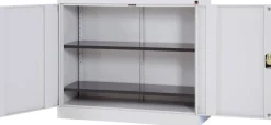 Viking Realspace Draaideurkast Staal 2 Planken Afsluitbaar 1,200 x 420 x 1,000 mm Zilver